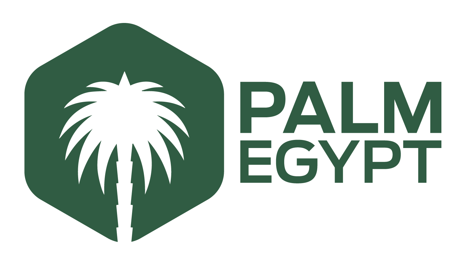 Palm Egypt logo